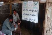 برگزاری اردوی جهادی دامپزشکی در روستای نقده 